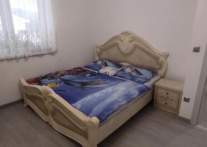 Marko Сasa de vacaciones